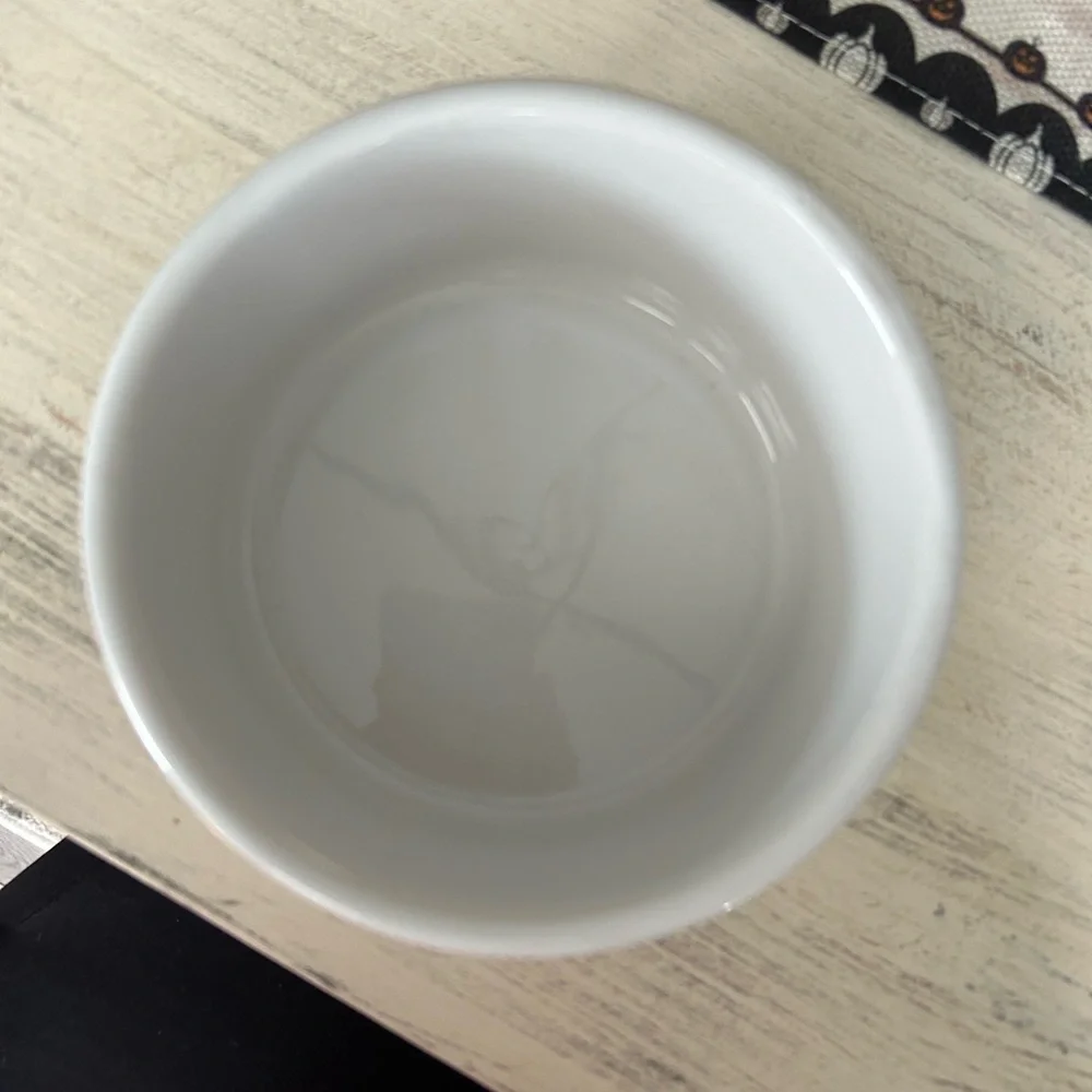 N/A dog bowl